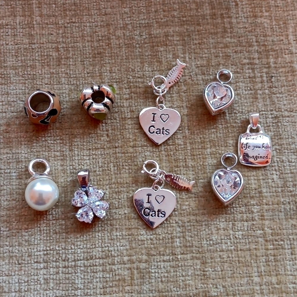 Silver Tone Bracelet Charms